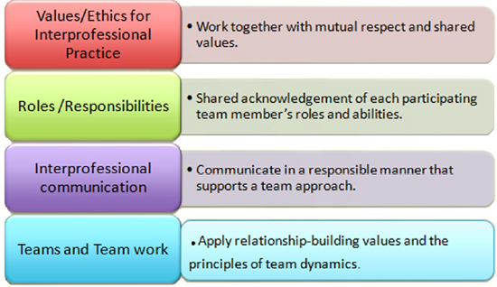 Interprofessional Education: Building Student Resilience and